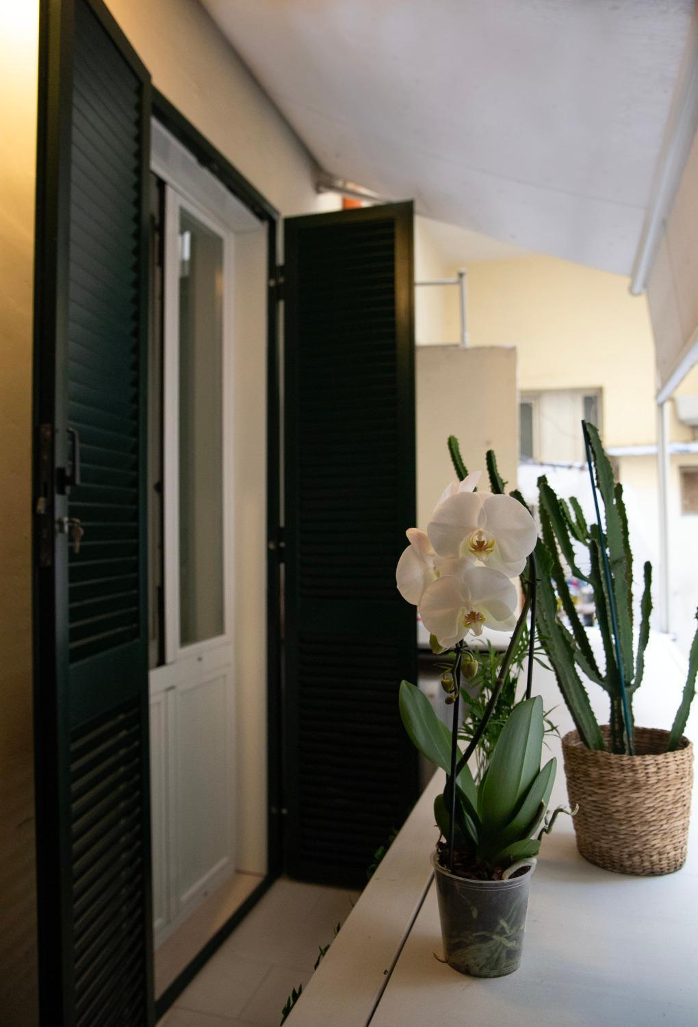 House Domusella Apartment Rome Exterior photo